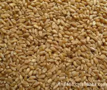 坎坤震巽乾兑艮离怎么读八卦形状详解